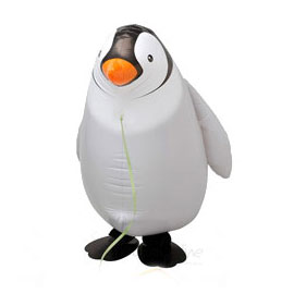 Holly the Penguin