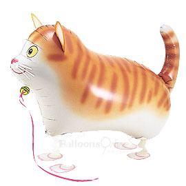 Cat balloon