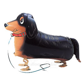 Dachshund dog balloon